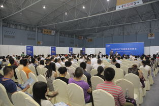 2016成都建博会 现场亮点纷呈，6月将上演重头戏